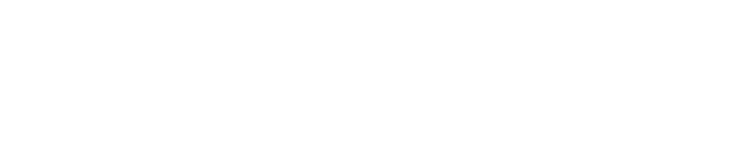 mbs-logo_weiss
